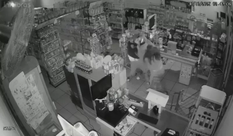 Dono de Mercado Vira Alvo de Assalto e Reage a Golpes: Suspeito é Esfaqueado no Interior de SP