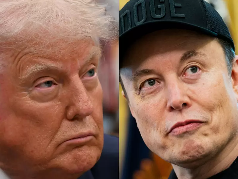 Elon Musk Desafia Trump: Como a Guerra Pessoal Pode Abalar um Império Bilionário