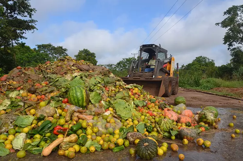 Empresas de Catering Cortam Desperdício de Alimentos Pela Metade com Estratégias Sustentáveis