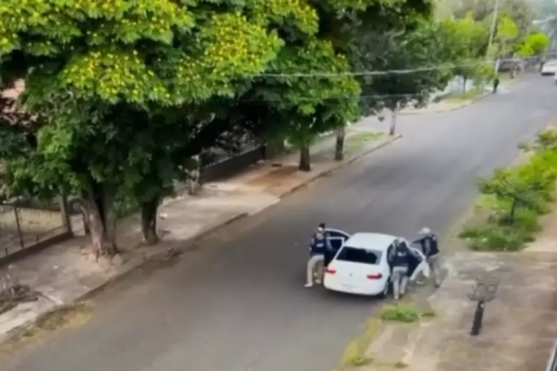 Empresário é investigado por poda ilegal de árvores no Paraná: entenda o caso