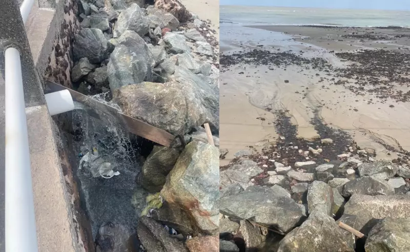 Esgoto a céu aberto: Praia da Ponta d'Areia em São Luís sofre com poluição e mau cheiro que preocupa moradores