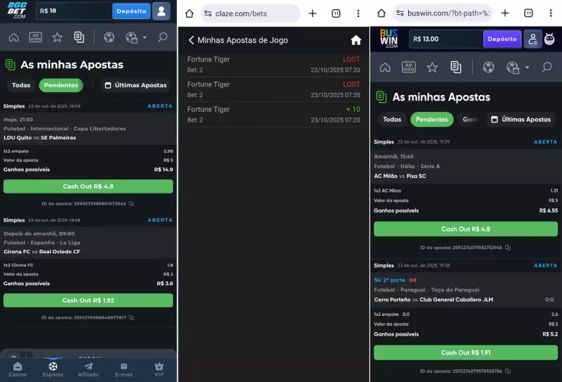 Estados Apostam em Cassinos e Jogo do Bicho para Conter Vazamento de Receita com Apostas Esportivas