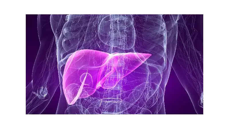 Esteatose Hepática: O Perigo Silencioso Que Ameaça Seu Fígado - Como Se Proteger