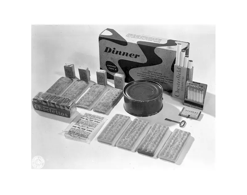 Experimentos Chocantes: Os Estudos Bizarros que Moldaram a Ciência da Nutrição