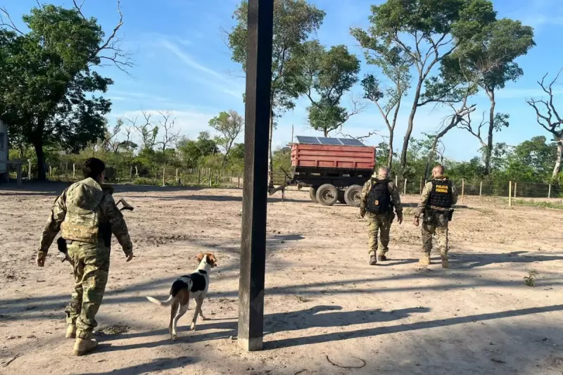 Fazenda no Pantanal é investigada por usar terra da União para criação de gado e suspeita de incêndio criminoso