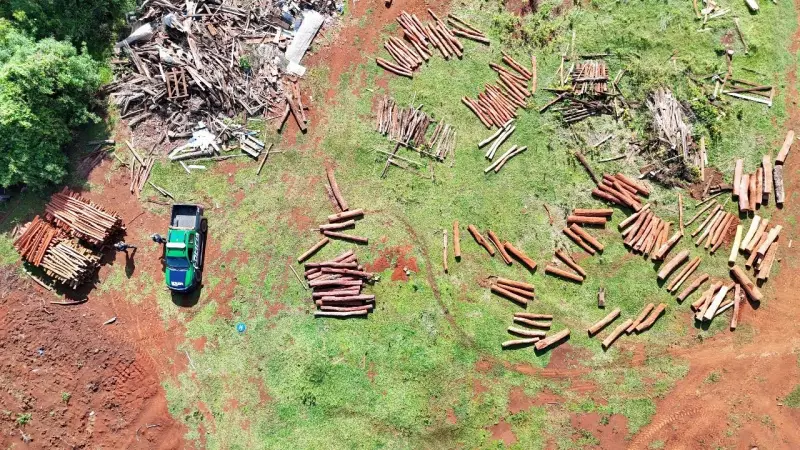 Fazendeiro é multado em R$ 50 mil por desmatamento ilegal de árvores nativas em Maracaju, MS