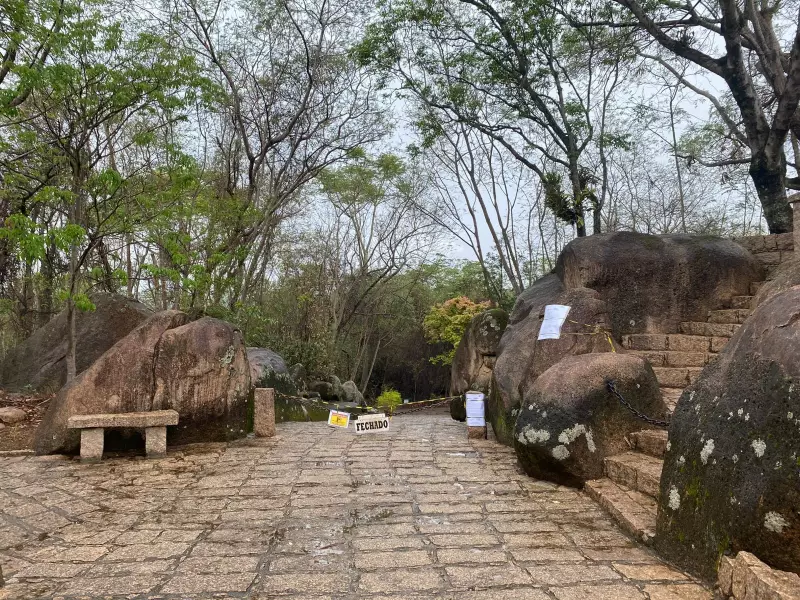 Febre Maculosa em Salto: Mortes Disparam e Prefeitura Declara Alerta Máximo