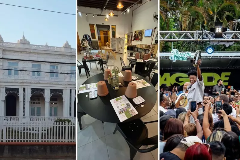 Fim de Semana em Santos: Samba, Cinema e Arte para Todos os Gostos