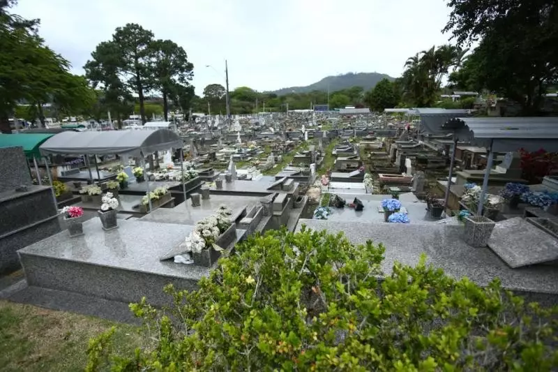 Florianópolis Aprova Sepultamento de Pets com Tutores: Nova Lei Permite Despedidas Conjuntas em Cemitérios