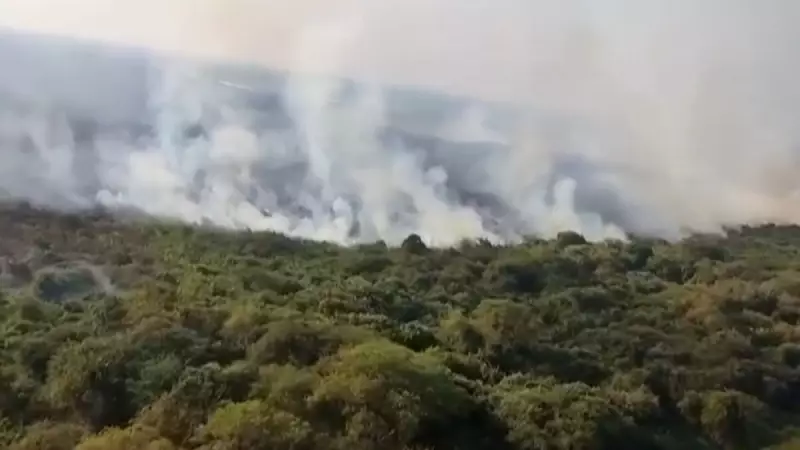 Fogo na Amazônia: O Alerta Vermelho que Consome Nossa Floresta