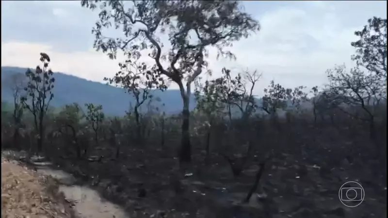 Fogo que Protege: Como Queimadas Controladas Estão Salvando a Chapada dos Veadeiros de Incêndios Devastadores