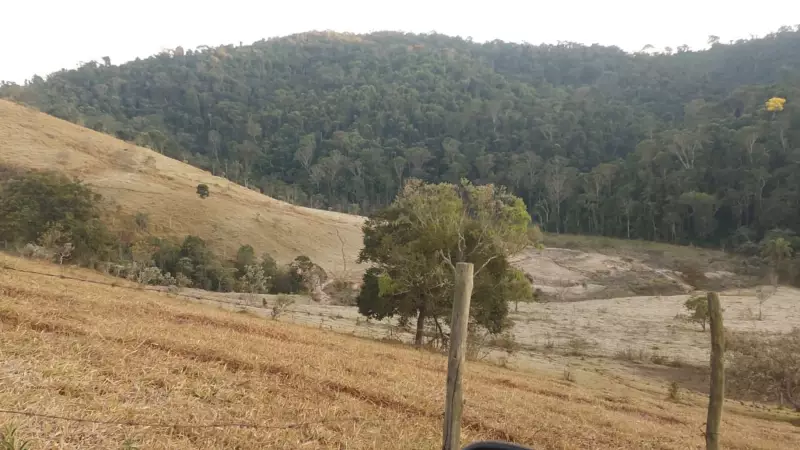 Frio Extremo no Triângulo Mineiro: Temperatura Despenca para 10,8°C em Onda de Gel