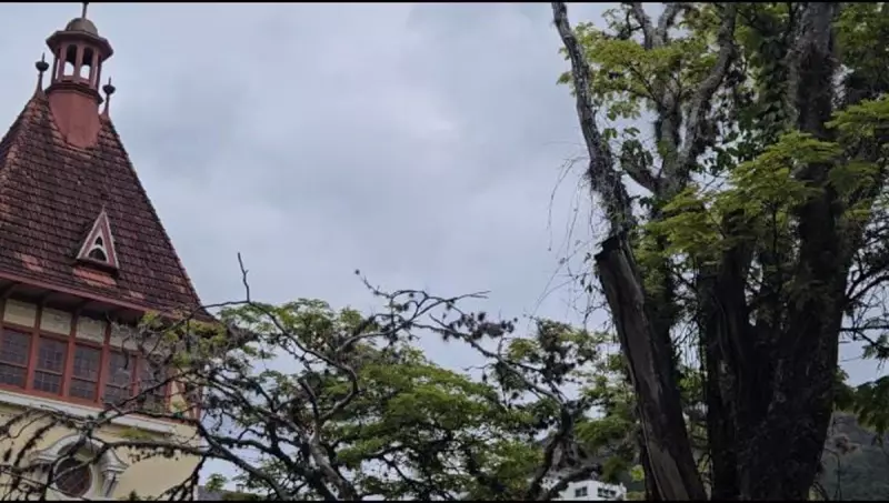 Frio Intenso em Nova Friburgo: Termômetros Marcam 6°C na Madrugada Mais Gélida do Mês