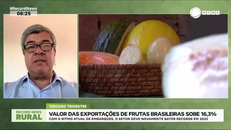 Frutas Brasileiras Brilham no Exterior: Exportações Disparam 163% e Batem Recorde Histórico