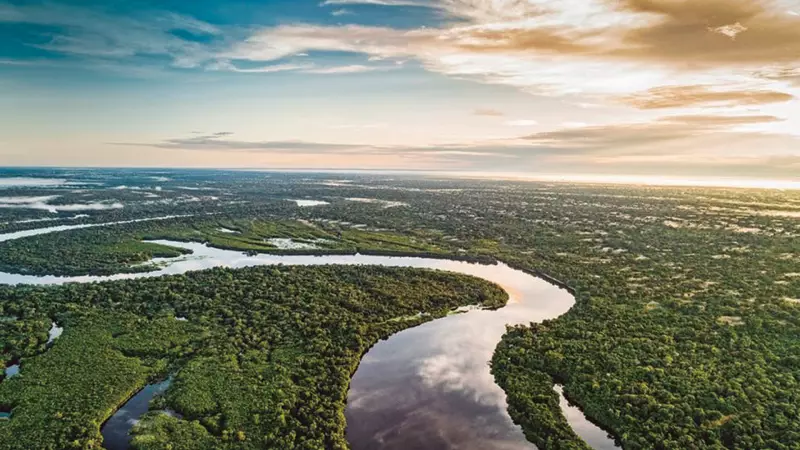 Fundo Permanente para Florestas Tropicais: A Grande Aposta do Brasil na COP30