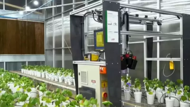 Furto em Laboratório Revela Avanço Revolucionário no Combate a Doenças Agrícolas