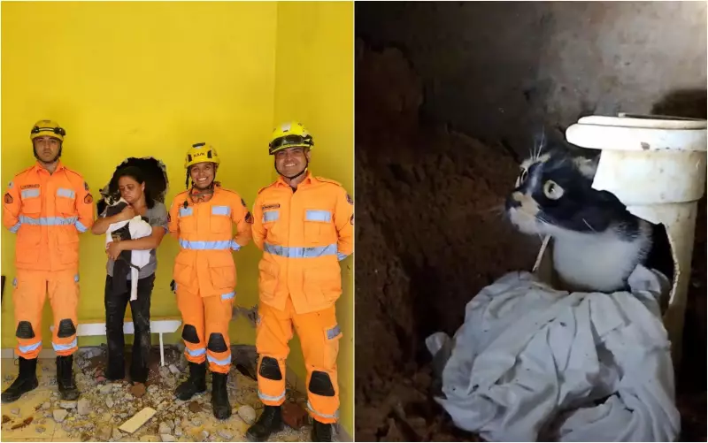 Gata Presa em Paredes: Bombeiros Quebram Casa para Resgate Dramático em Aguanil