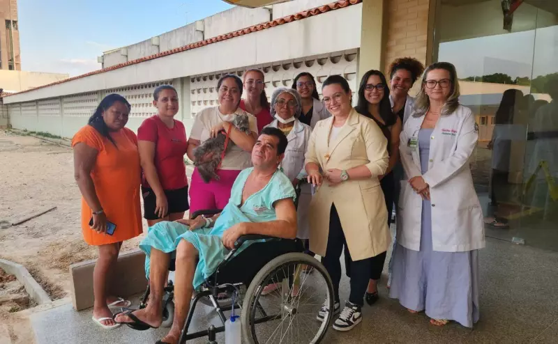 Gata sobrevive a queda de 7 metros e se torna símbolo de superação em hospital do Piauí