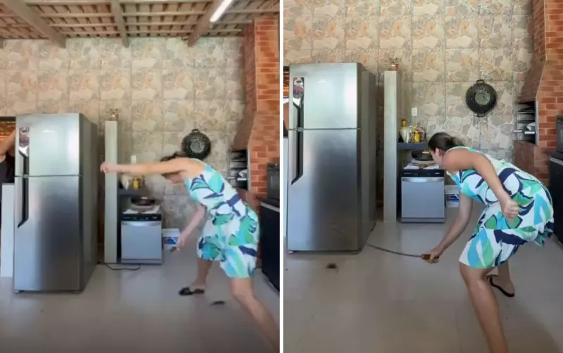 Goiana declara guerra a ratos em casa e reação hilária viraliza nas redes sociais