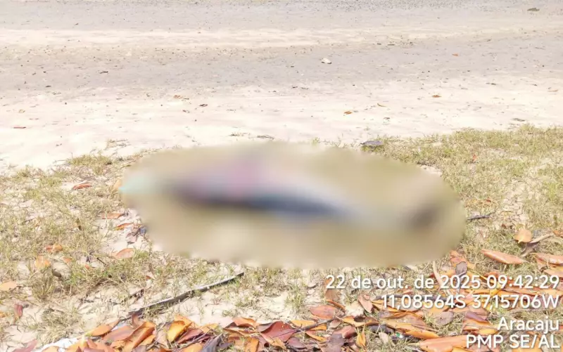 Golfinho Morto no Rio Vaza-Barris: Alerta Ambiental em Sergipe