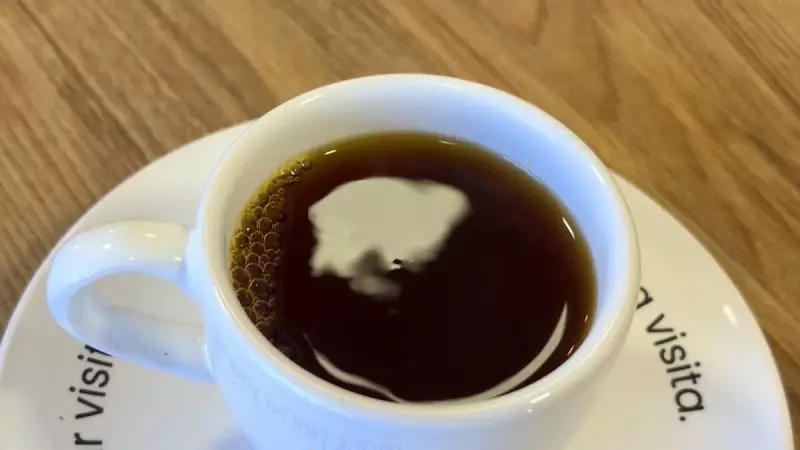 Grão Verde do Café: Pesquisa Brasileira Revela Como Transformar 'Defeito' em Oportunidade Sustentável