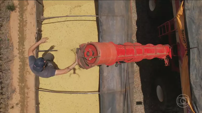 Guerra Tarifária EUA-China Impulsiona Exportação de Soja Brasileira para Níveis Recordes