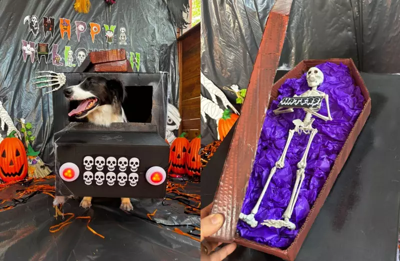 Halloween em SC: Homem transforma carro em 'caocurso' com caixão e esqueleto para buscar cães na creche