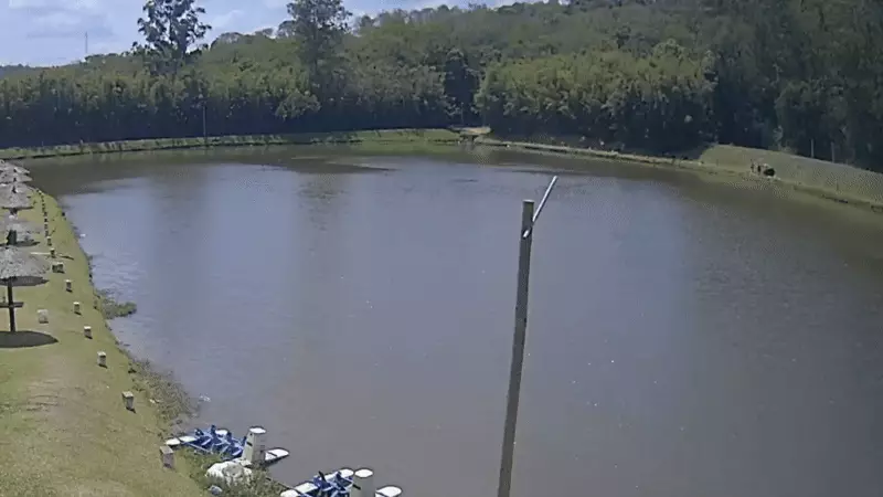 Helicóptero cai em pesqueiro de Salto após pane no rotor; piloto sobrevive