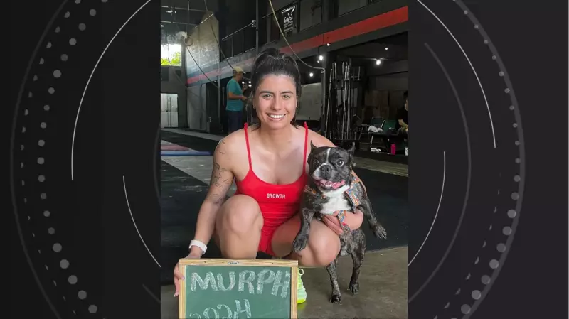 Herói de quatro patas: Cachorro salva família de incêndio dramático no Paraná e escapa ileso