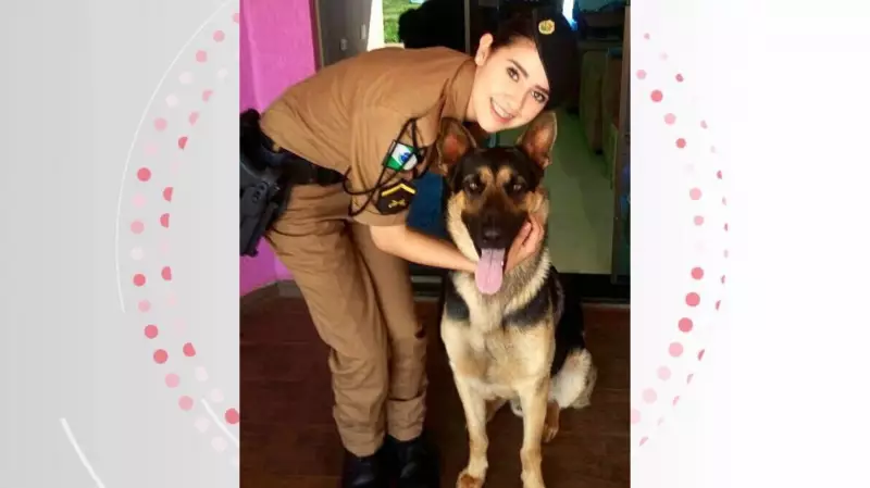 Herói de Quatro Patas: Cão Policial do PR Recebe Adeus Comovente Após Luta Contra Câncer