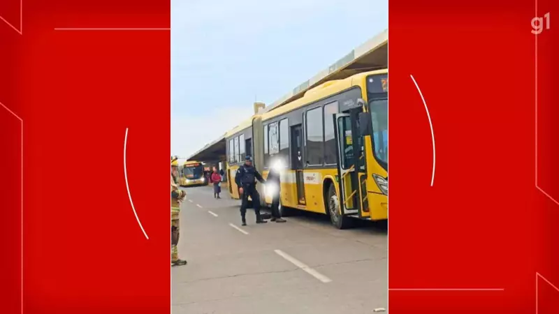 Homem é esfaqueado dentro de ônibus no DF após reagir a assédio: violência choca passageiros
