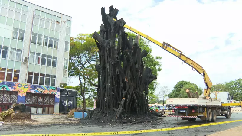 Homem é flagrado ateando fogo em gameleira de 40 anos em Brasília; polícia investiga crime ambiental
