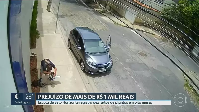 Homem e cão formam dupla em série de furtos: 10 roubos em escola de MG em 8 meses