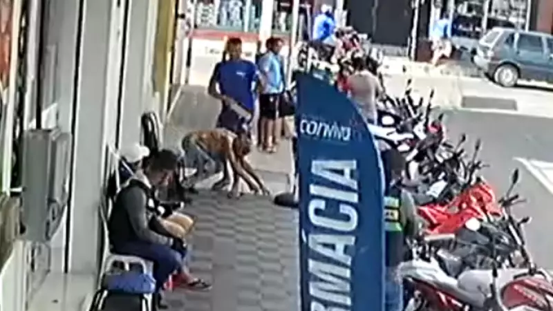 Idosa de 70 anos sofre agressão covarde com pau em Fortaleza; polícia busca suspeito