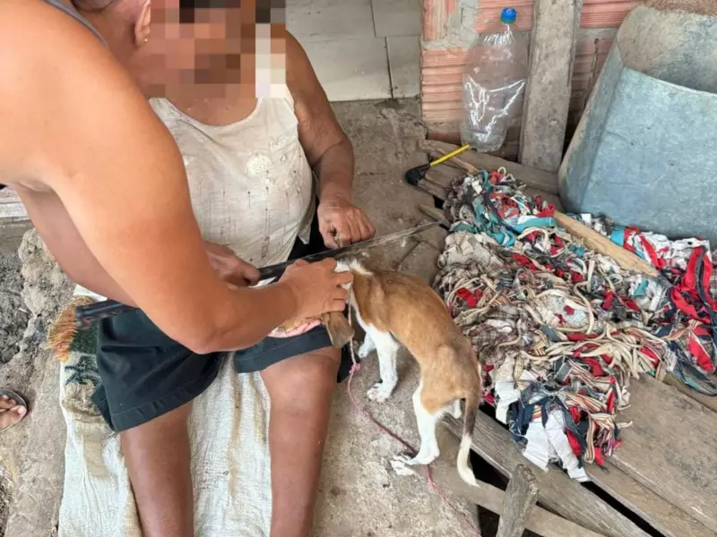 Idosa e cadela abandonadas são resgatadas em situação precária no interior do Acre