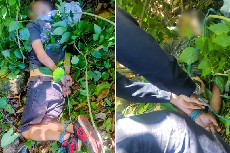 Idoso é resgatado com vida após ser encontrado amordaçado e amarrado em mata de São Paulo