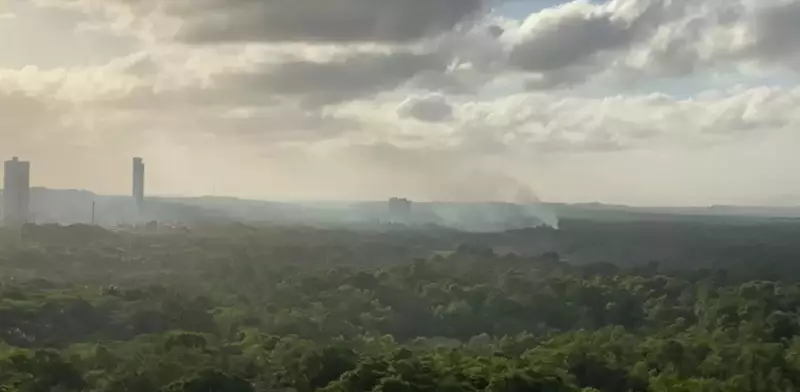 Incêndio ameaça o Parque do Cocó, um dos principais pulmões verdes de Fortaleza