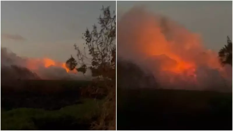 Incêndio ameaça Rio Coco no Ceará: Bombeiros combatem chamas em vegetação às margens do curso d'água