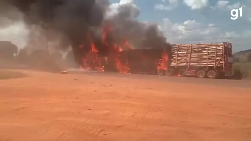 Incêndio de Grandes Proporções Consome Carreta com Carga de Eucalipto na MA-386, em Imperatriz