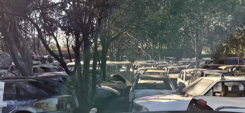 Incêndio de Grandes Proporções Devasta Pátio do Detran em Jaboticabal e Destrói Mais de 300 Veículos