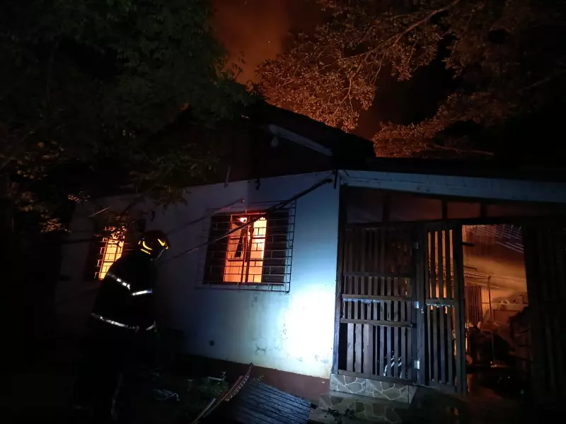 Incêndio Devasta Santuário de Animais no RS: 300 Vidas em Risco e Corrida Contra o Tempo