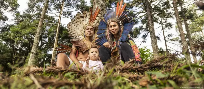 Indígenas Resgatam Floresta de Araucárias: A Revolução Verde dos Kaingang no Sul do Brasil