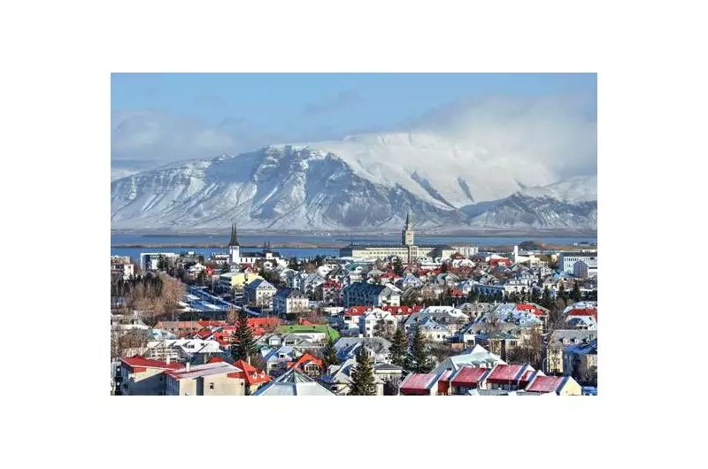 Islândia registra primeiros mosquitos: sinal alarmante do aquecimento global