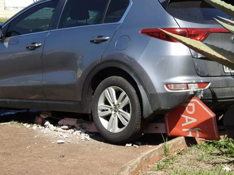 Jovem se envolve em acidente espetacular em São Carlos: carro bate, derruba coqueiro e placa