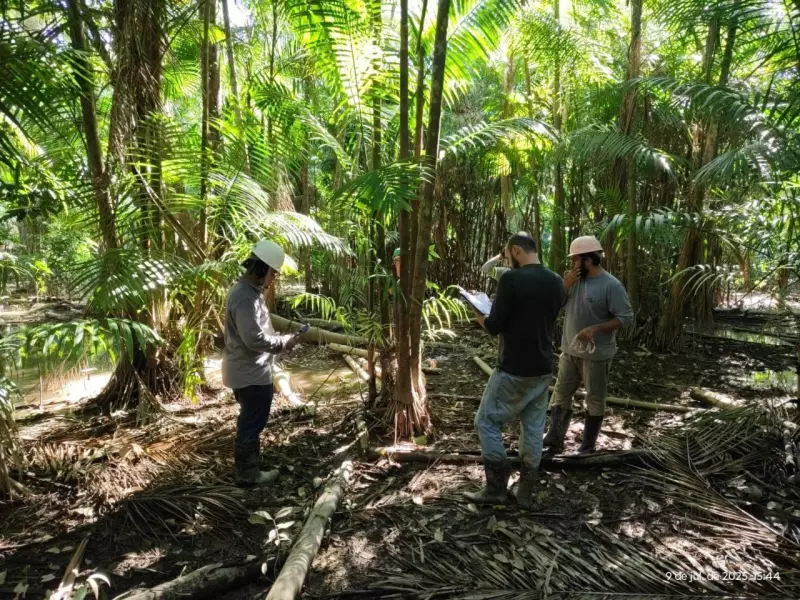 Jovens Pesquisadores do Amapá Brilham com Projetos Inovadores em Congresso Científico