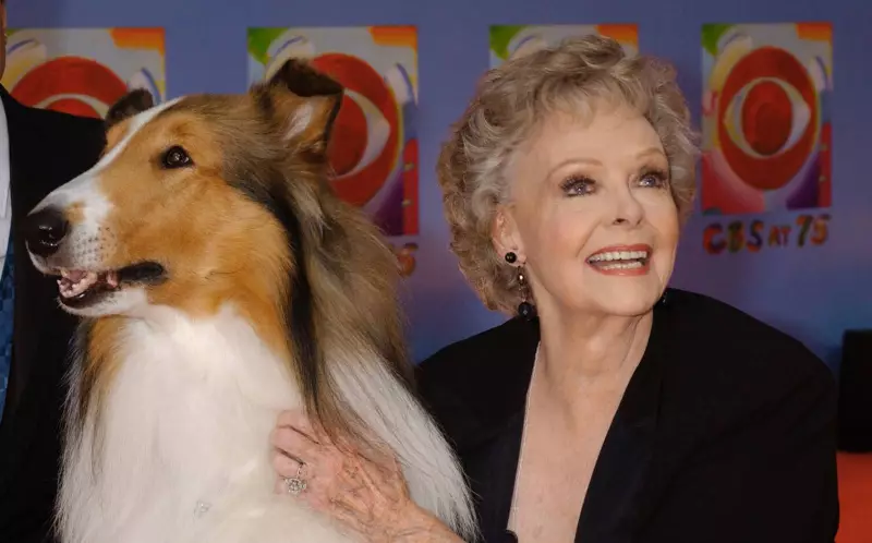 June Lockhart, Estrela de 'Lassie' e 'Perdidos no Espaço', Morre aos 100 Anos: Uma Era do Cinema Se Vai