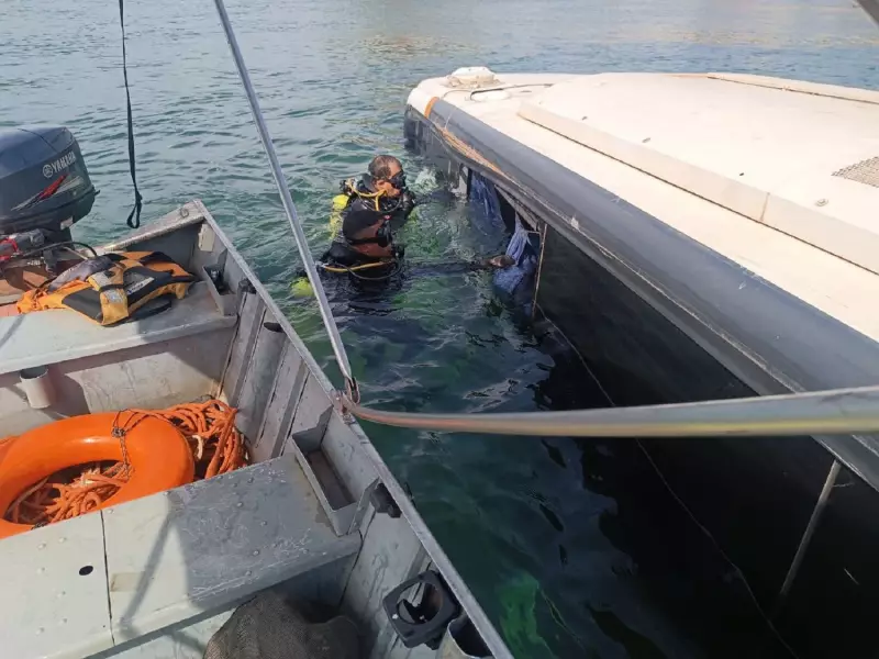 Justiça liberta motorista de ônibus que caiu no Rio Tocantins: entenda a decisão judicial