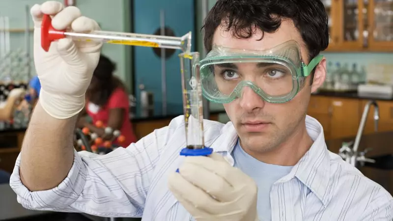 Lei das Afinidades: Como as Conexões Pessoais Moldam a Política Brasileira