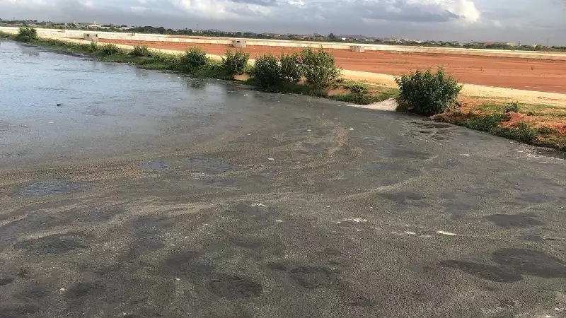 Lodo Vira Ouro: Biotecnologia Transforma Resíduos em Solução Sustentável para a Agricultura