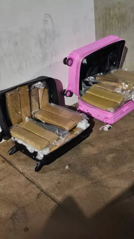 Malas com Maconha: Mulher é Presa em Hotel de Minas após Receber Encomenda de SP